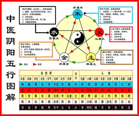 五行相克表|一分钟记住，五行相生相克。